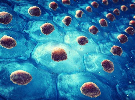 Adipose tissue Tulsa, OK