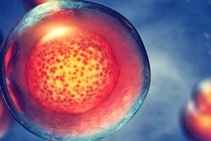 Different Types Of Regenerative Cells Tulsa, OK