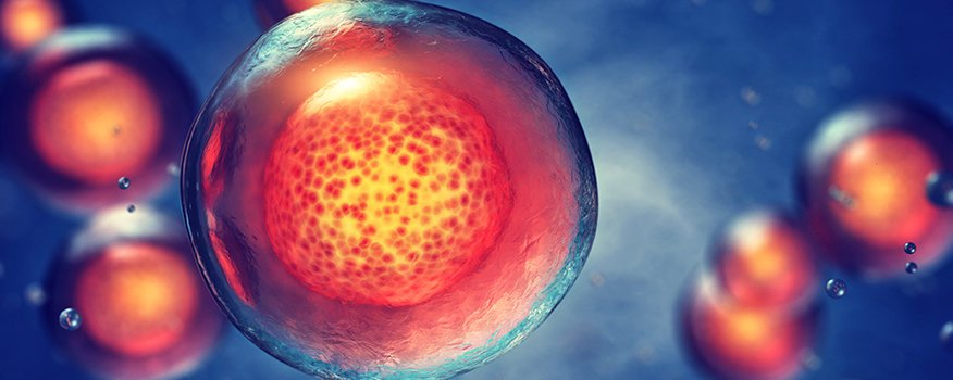 Different Types Of Regenerative Cells Tulsa, OK