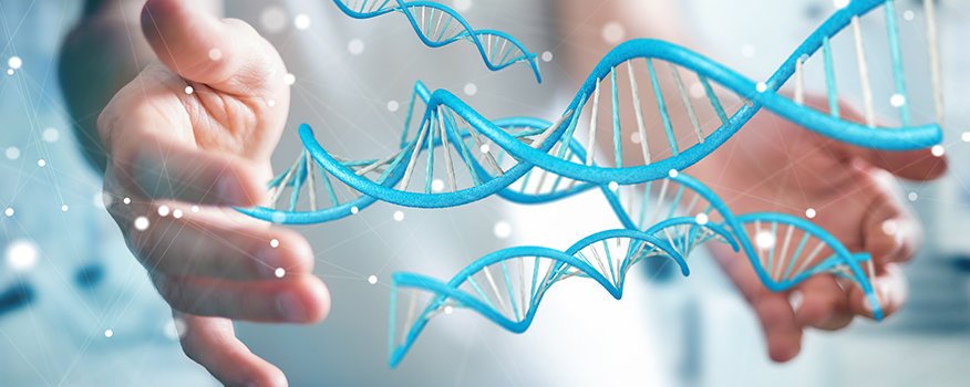 What You Need To Know About Stem Cell Treatments Tulsa, OK